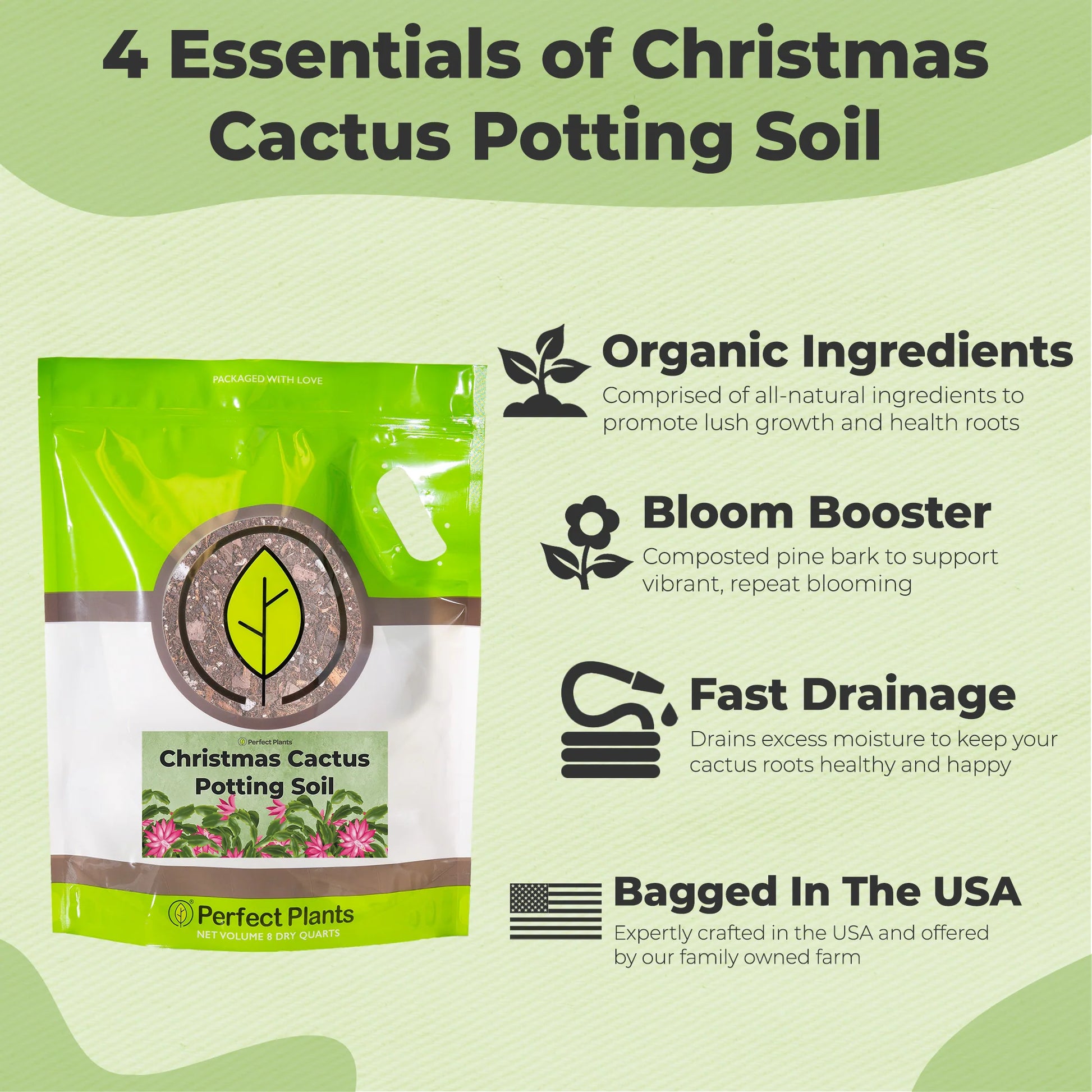 Christmas Cactus Potting Soil