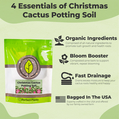 Christmas Cactus Potting Soil
