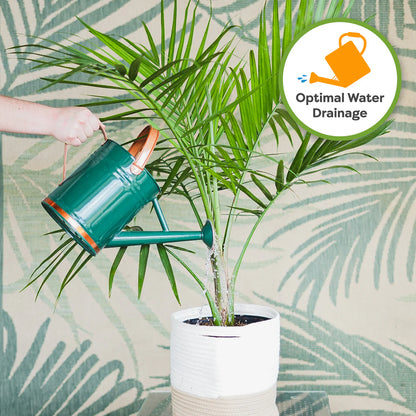 Indoor Plant Soil Mix