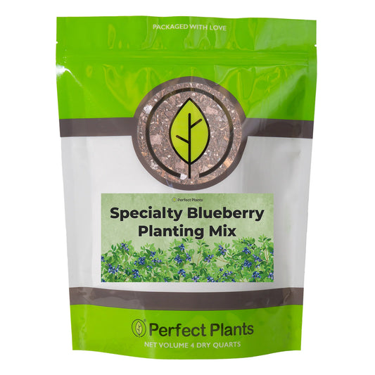 Blueberry Soil Mix