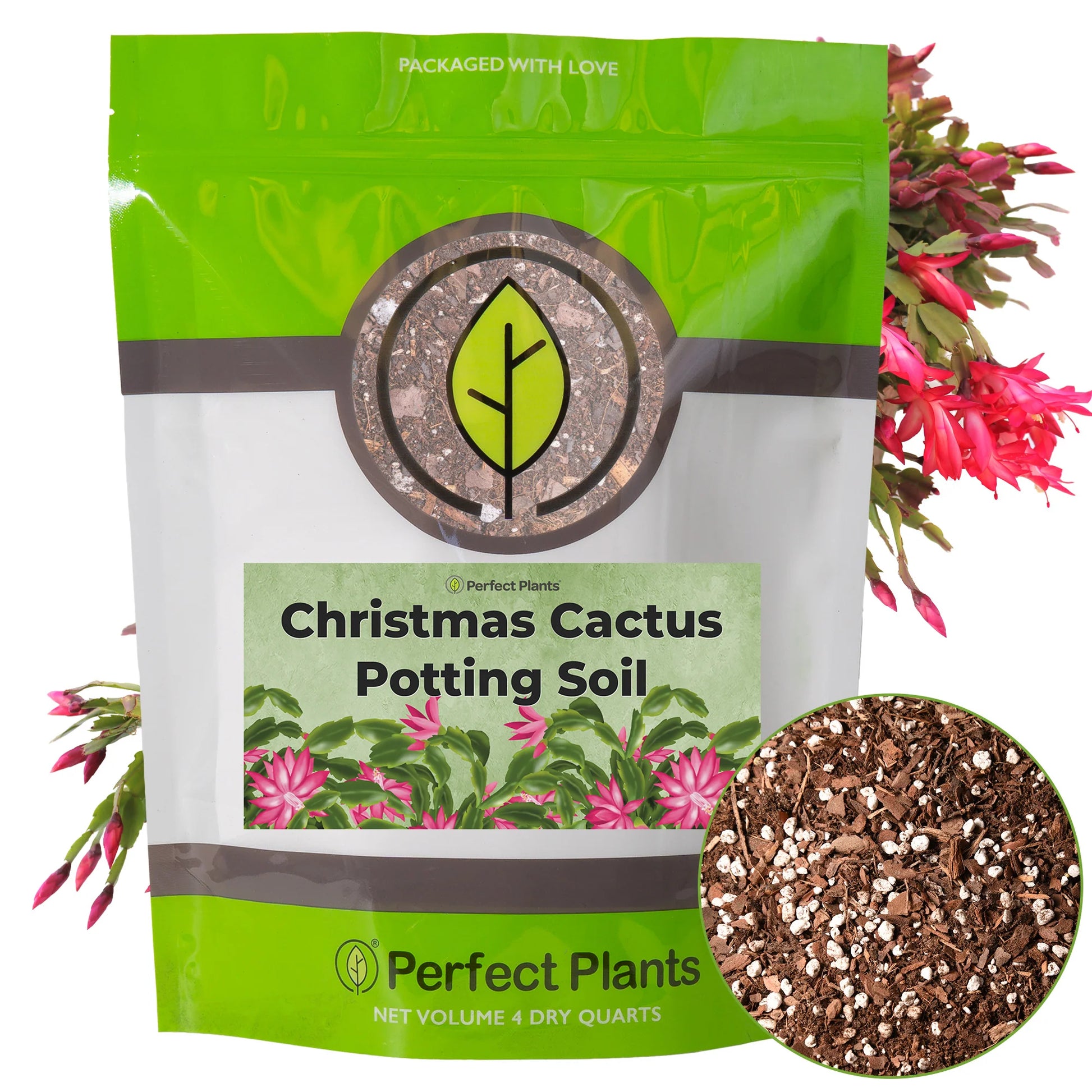 Christmas Cactus Potting Soil