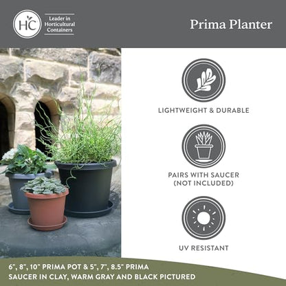 The HC Companies® Classic Prima Planter (Cappuccino Color)