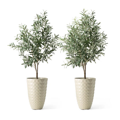 Dneisha Eco-Friendly 2-Piece Pot Planter Set