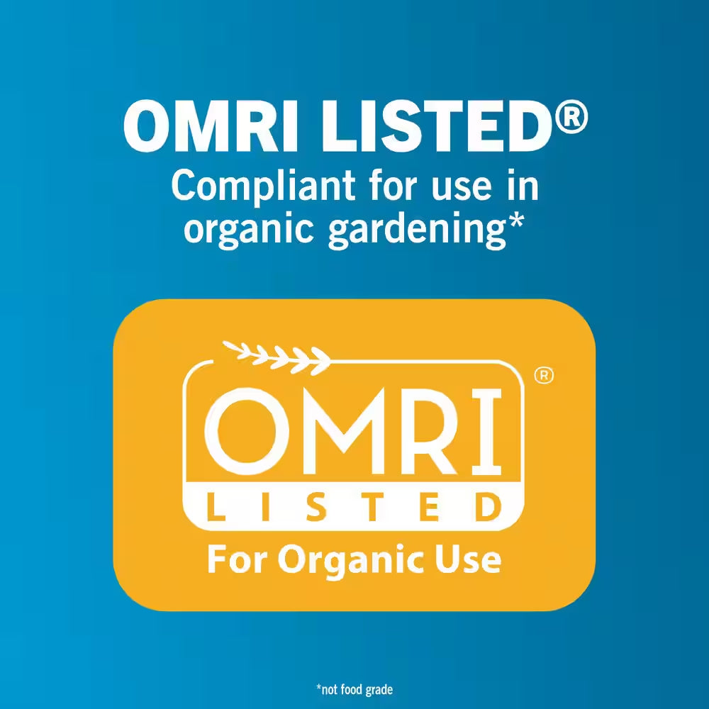 4 Lbs. Diatomaceous Earth - Bed Bug, Flea, Ant, Crawling Insect Killer for Indoor and Outdoor