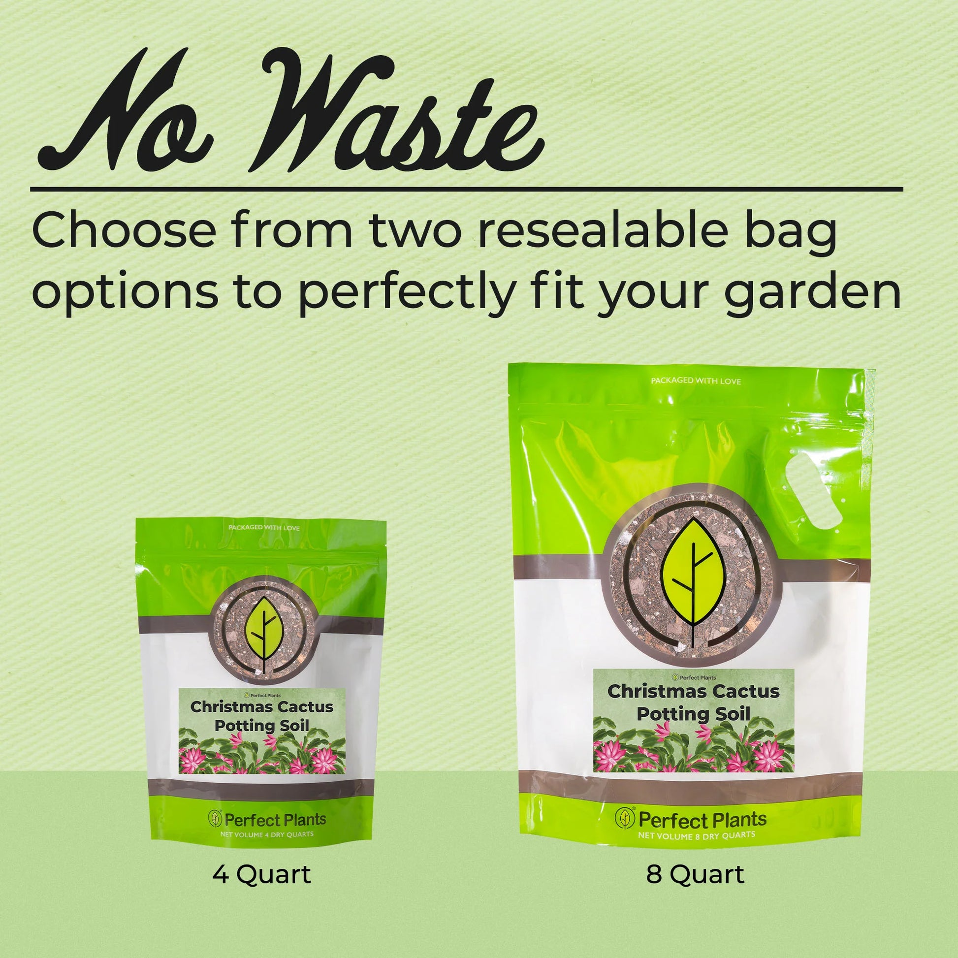 Christmas Cactus Potting Soil