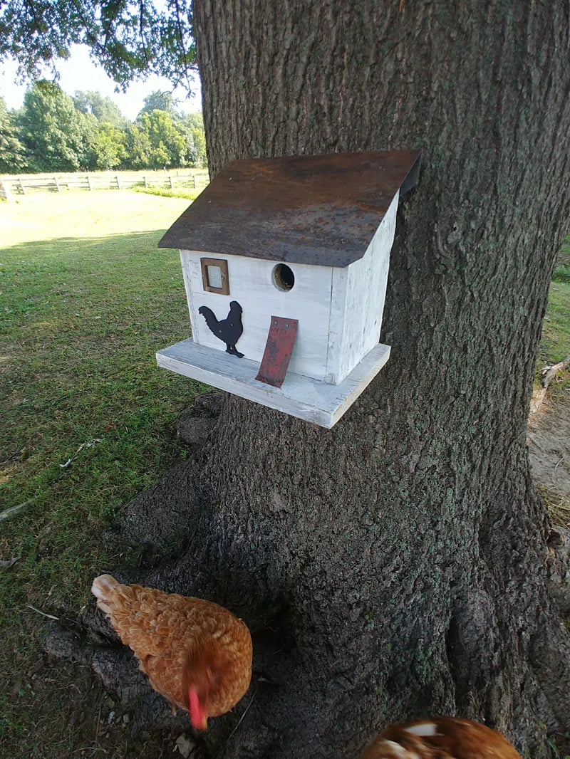 Bird in Hand Series Cumberland Chicken Coop 10 in X 10 in X 8 in Birdhouse