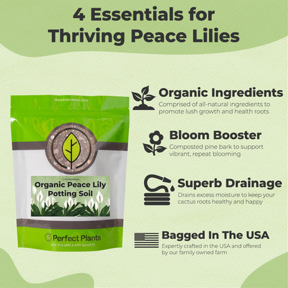 Peace Lily Potting Soil