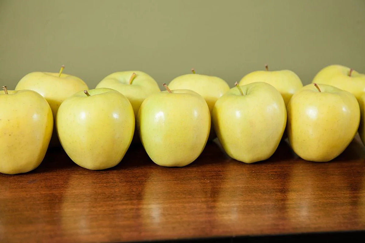 Golden Delicious Apple Tree