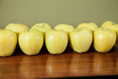 Golden Delicious Apple Tree