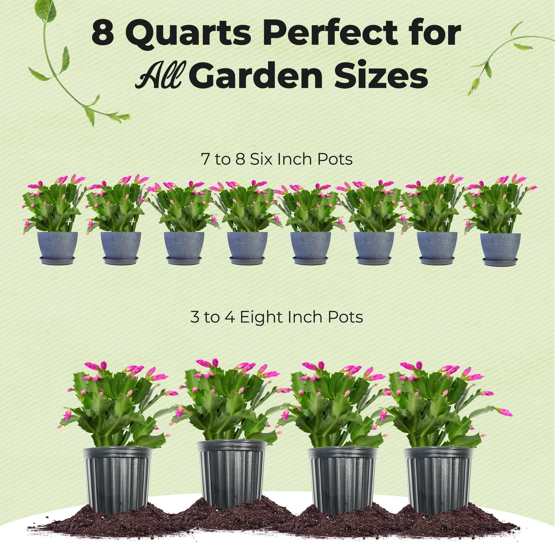 Christmas Cactus Potting Soil