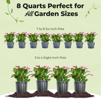 Christmas Cactus Potting Soil