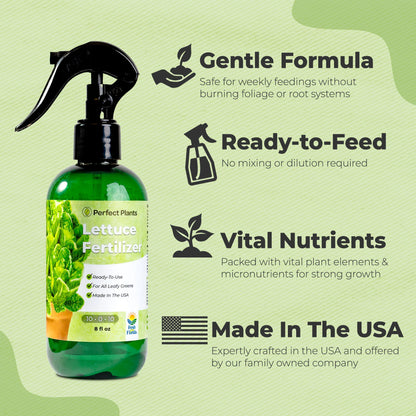 Lettuce Fertilizer