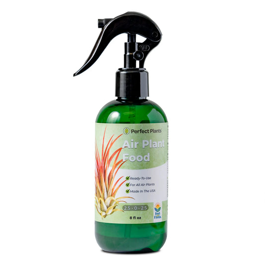 Air Plant Food & Fertilizer