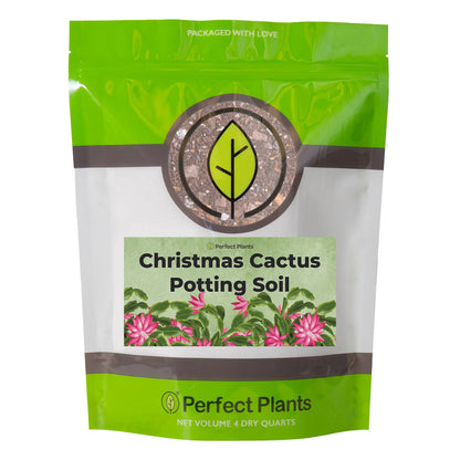 Christmas Cactus Potting Soil