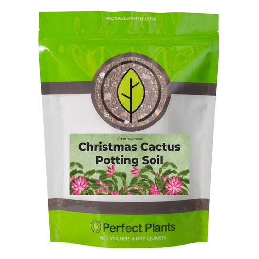 Christmas Cactus Potting Soil