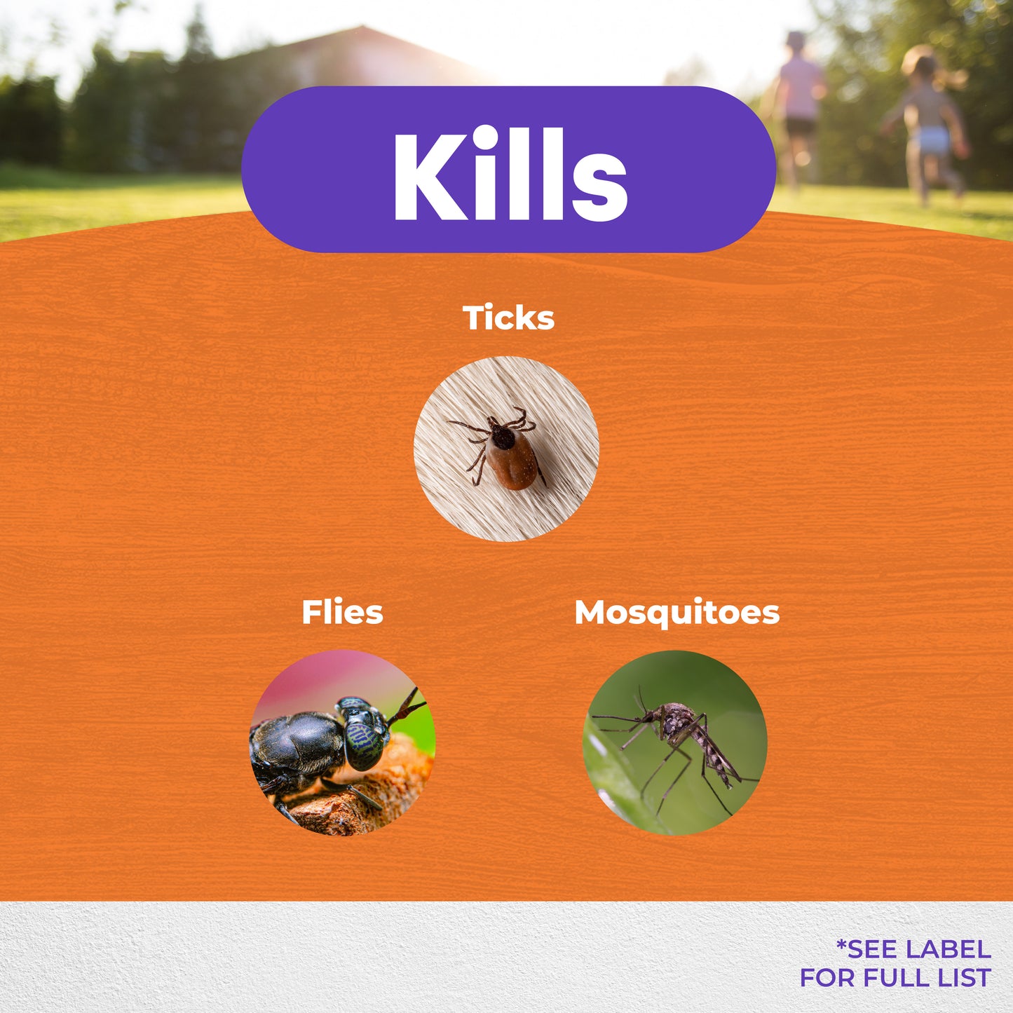 Mosquito Beater RTS