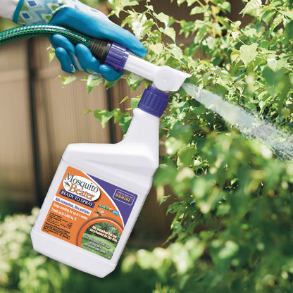 Mosquito Beater RTS