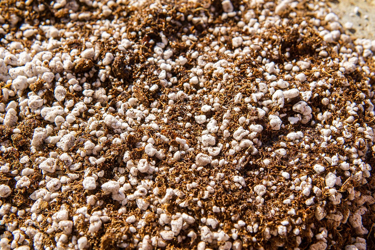 Organic Carnivorous Plant Soil Mix