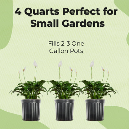 Peace Lily Potting Soil