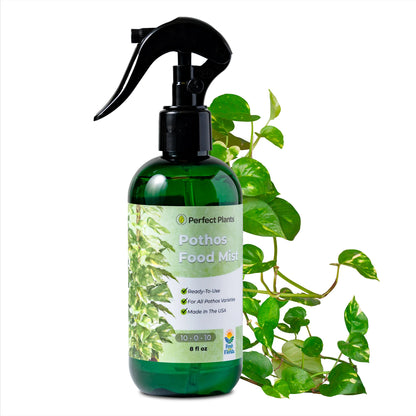 Liquid Mist Fertilizer for Pothos