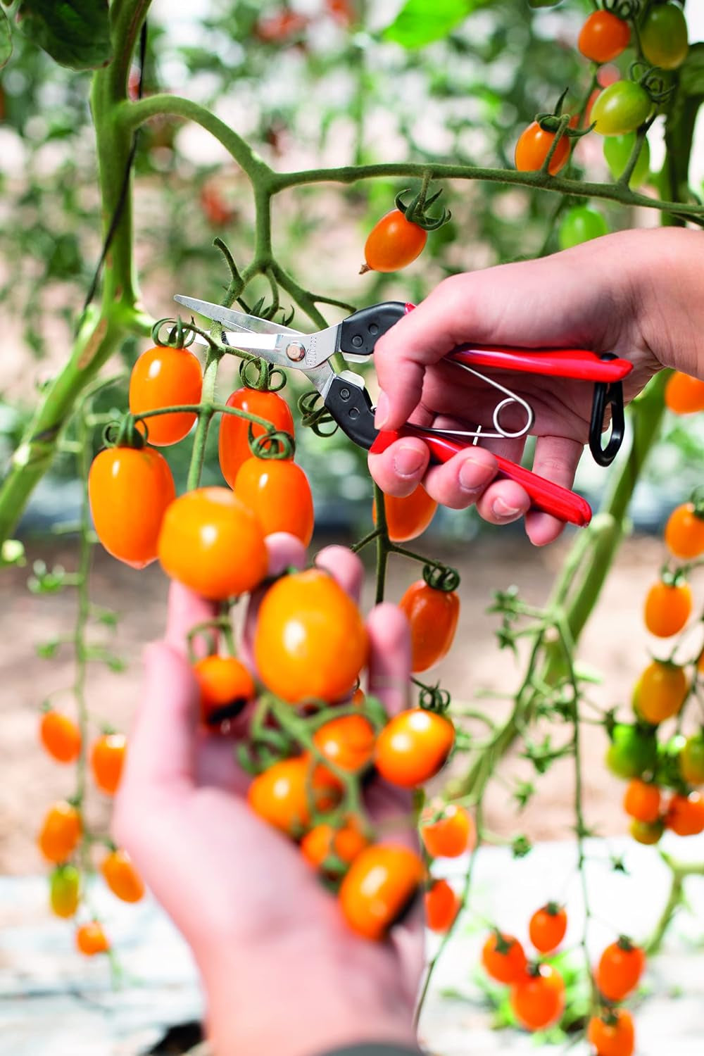 F322 Pruning Snips – 9.84" Swiss-Made Garden Clippers with Curved Blade & Rounded Tip | Pruning Shears for Gardening | Garden Snips and Pruners with Carbon Steel Blade, Sap Groove