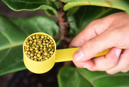 Fiddle Leaf Fig Fertilizer