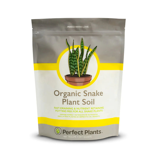 Snake Plant Soil Mix