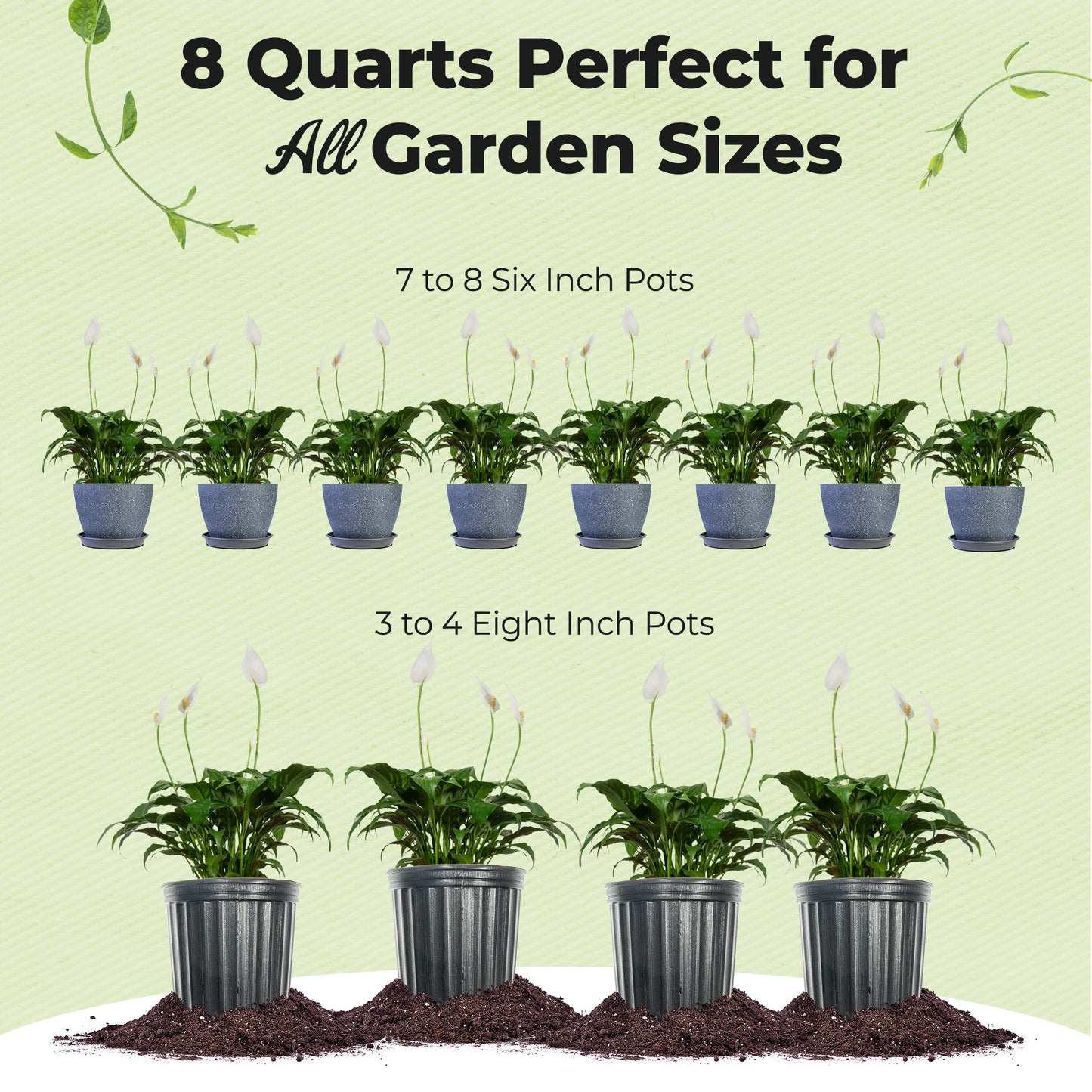 Peace Lily Potting Soil