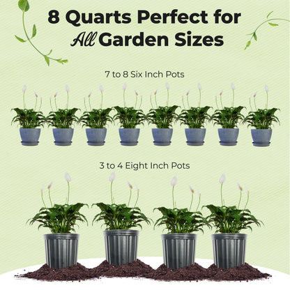 Peace Lily Potting Soil