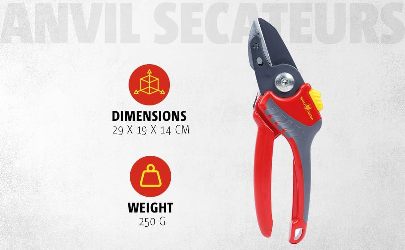 Anvil Secateurs (RS2500)