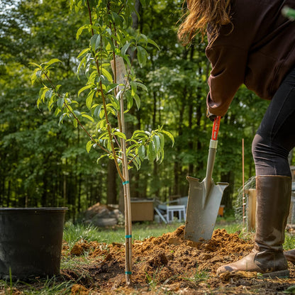 25111 Pro-Lite Ergonomic Carbon Steel Spade, Red