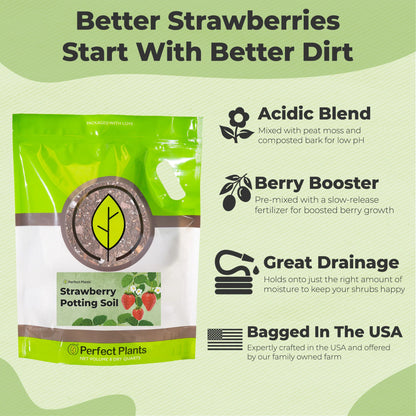 Potting Soil for Strawberries