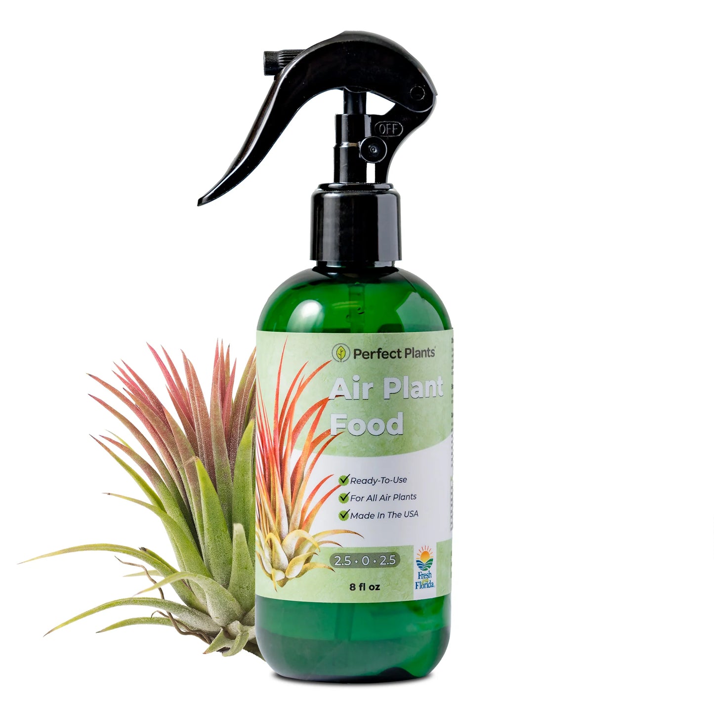 Air Plant Food & Fertilizer