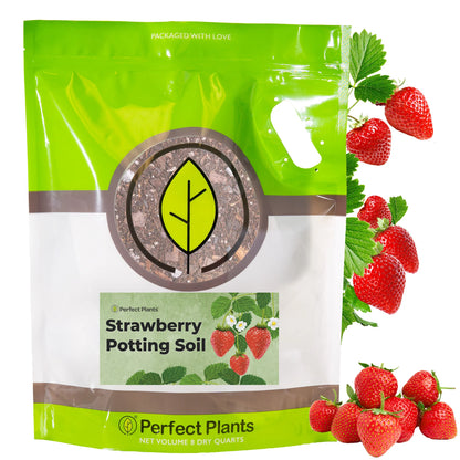 Potting Soil for Strawberries