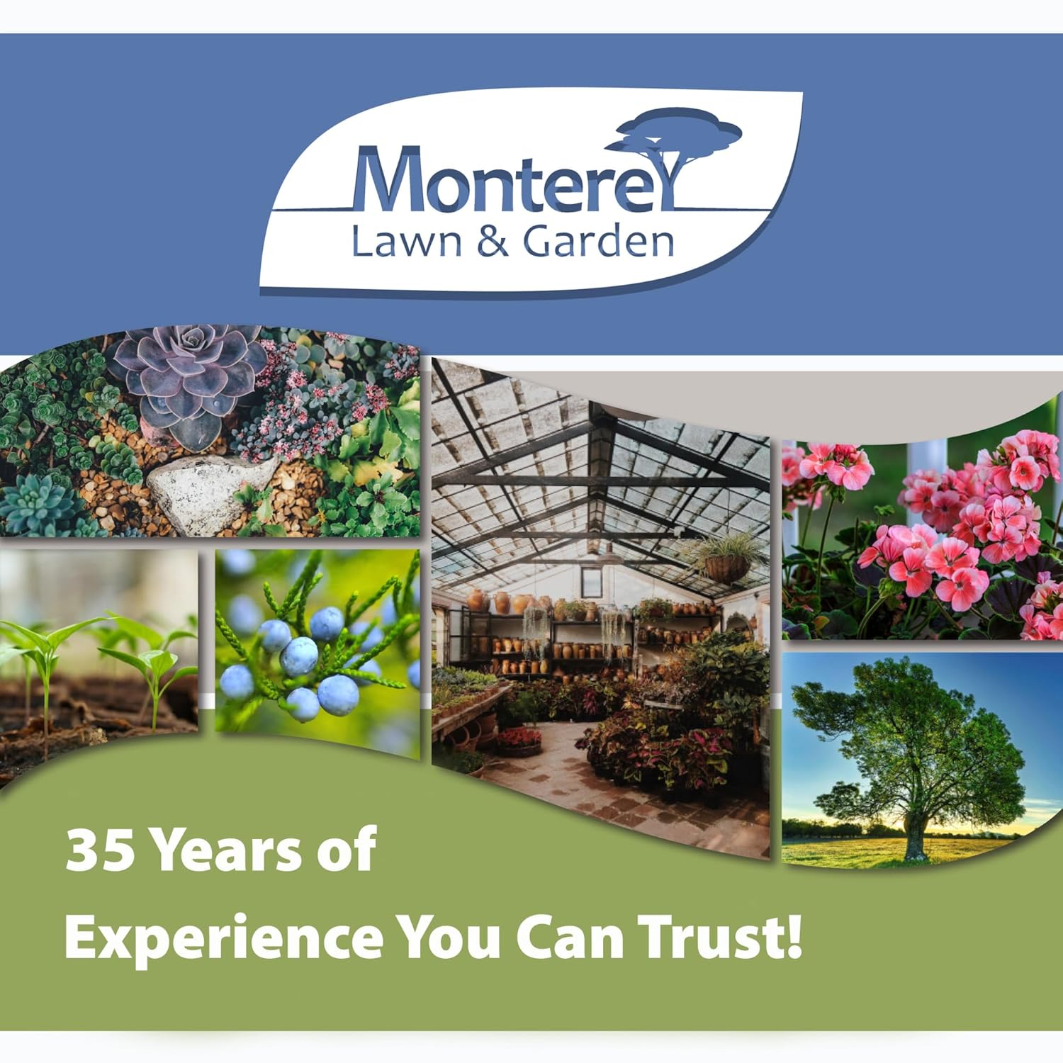 Monterey (LG6145) - 70% Neem Oil Ready-To-Spray Insecticide, Miticide, & Fungicide (16Oz.)