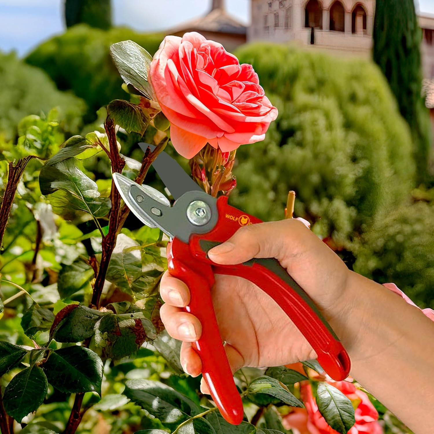 Anvil Secateurs (RS2500)