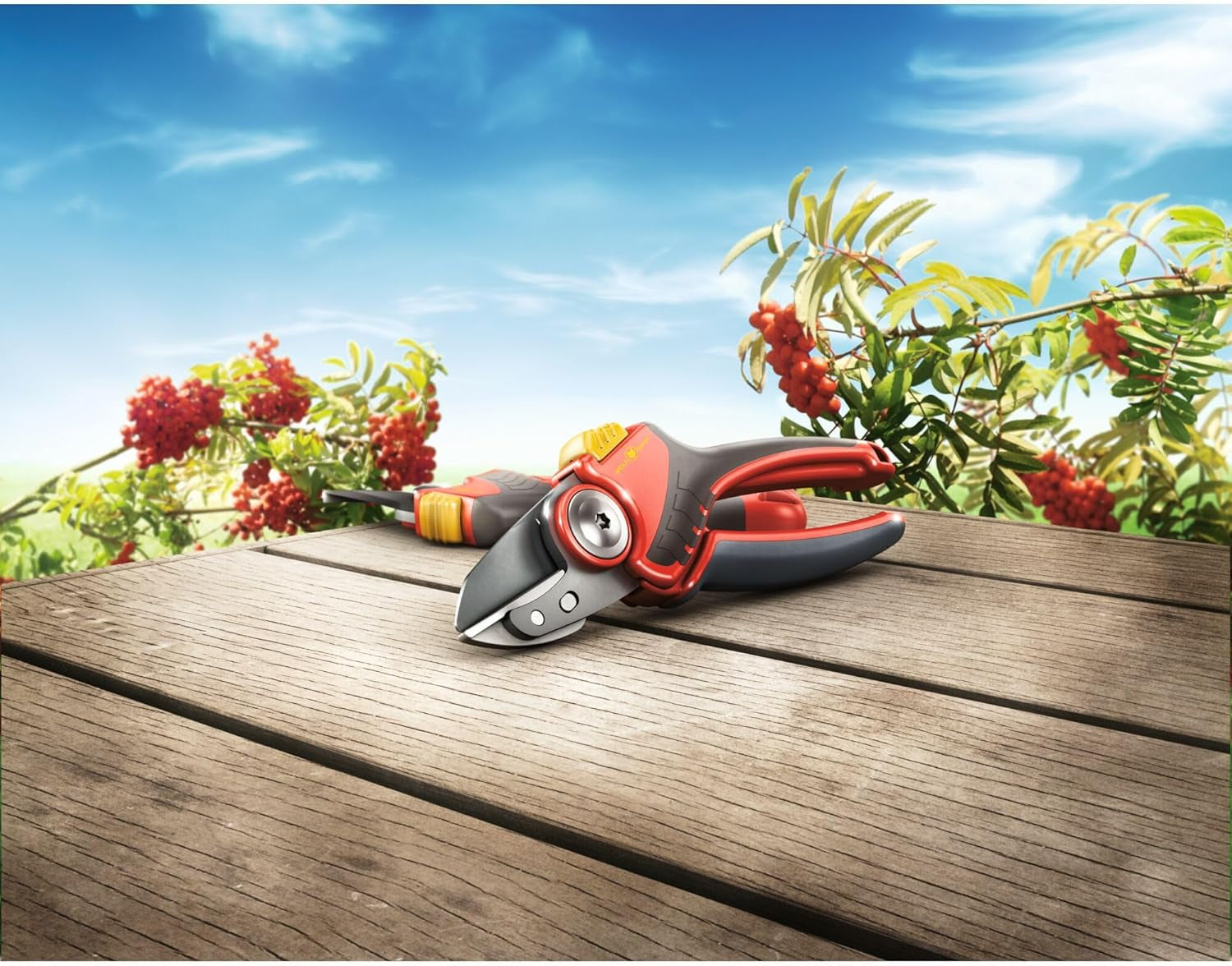 Anvil Secateurs (RS2500)