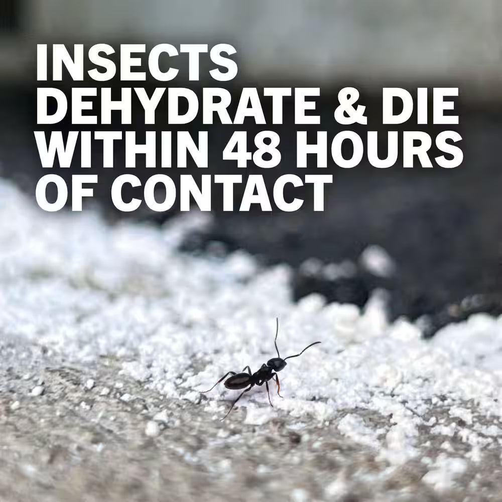 4 Lbs. Diatomaceous Earth - Bed Bug, Flea, Ant, Crawling Insect Killer for Indoor and Outdoor