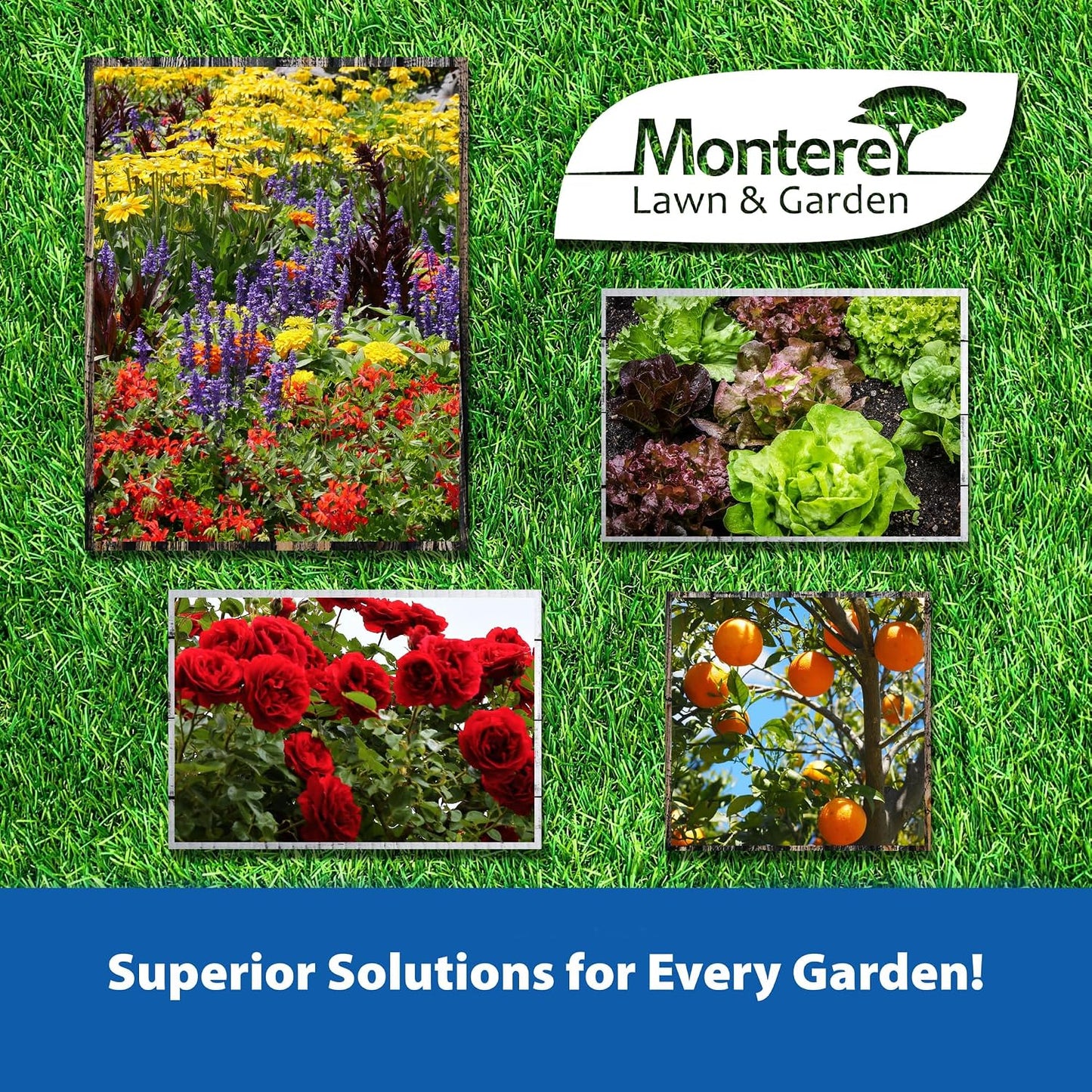 Monterey (LG6145) - 70% Neem Oil Ready-To-Spray Insecticide, Miticide, & Fungicide (16Oz.)