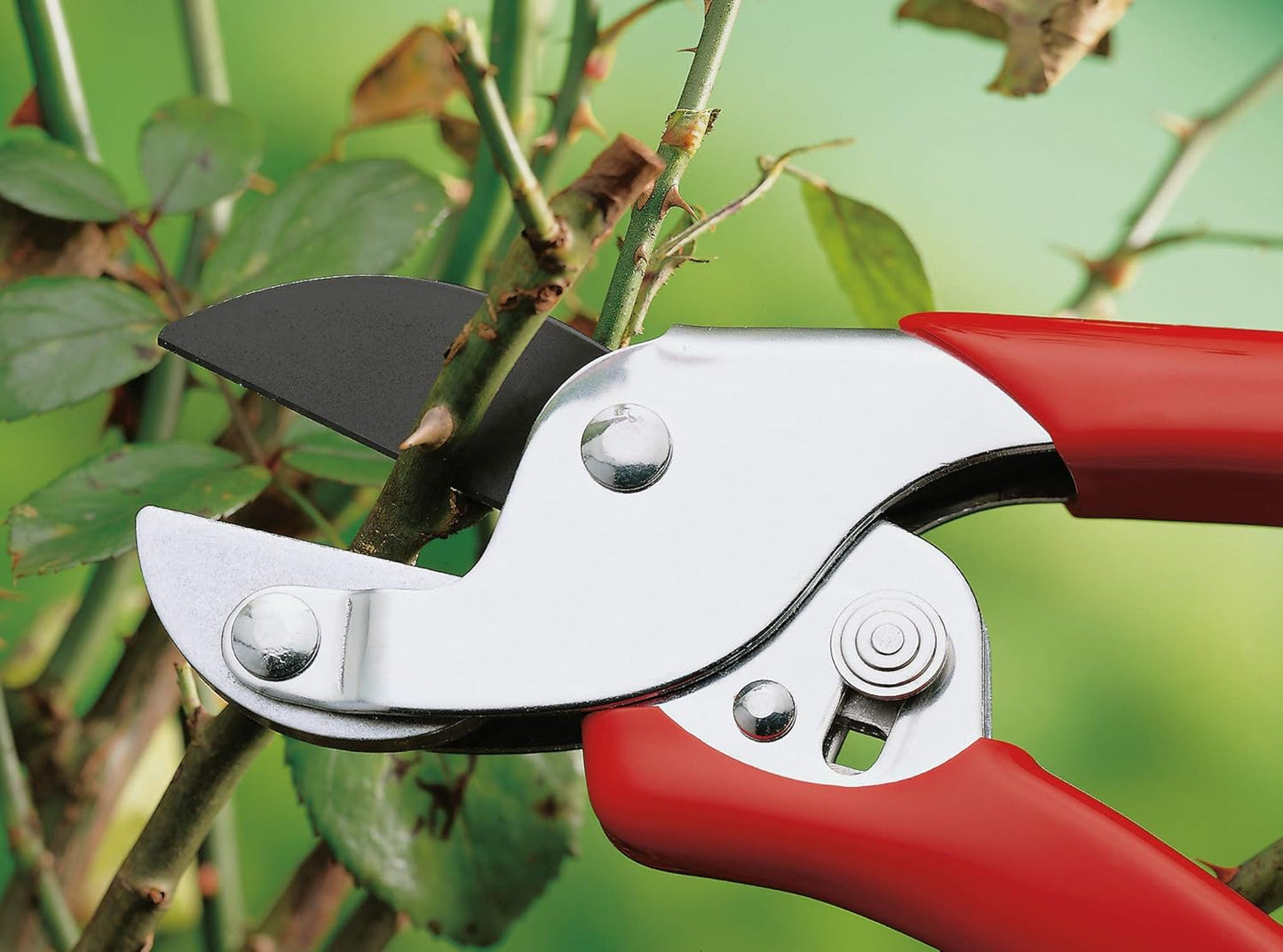 RSEN Anvil Secateurs, Red, 39.5X7.84X3 Cm