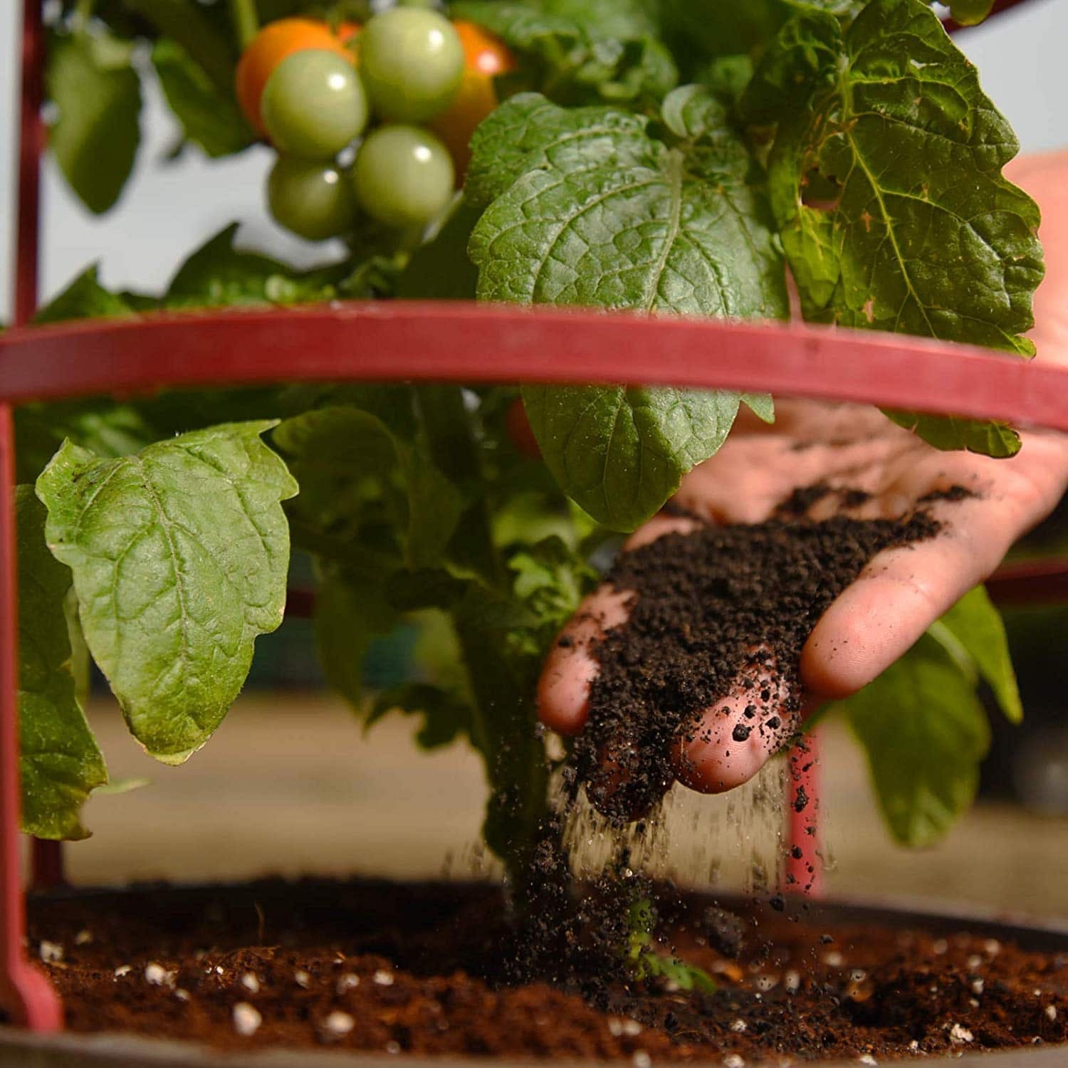 Organic Worm Castings