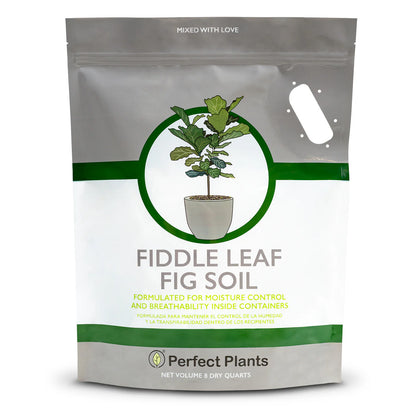 Fiddle Leaf Fig Soil
