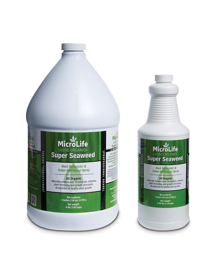 Microlife Super Seaweed Professional Grade Organic Liquid Concentrate Root Stimulator & Foliar Nutritional Spray for All Plants, 1 Gallon