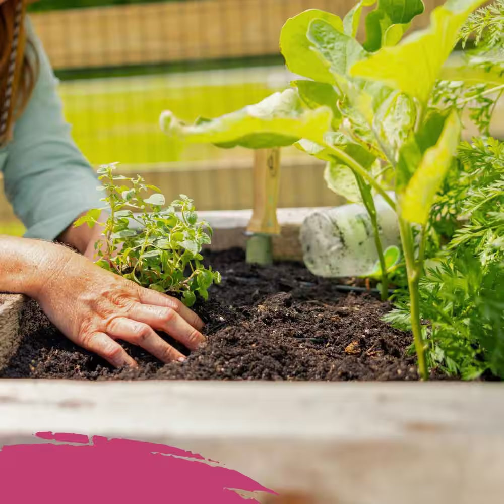 Organic Raised Bed and Potting Mix, All Natural Premium Soil 2 Cu. Ft., OMRI Listed