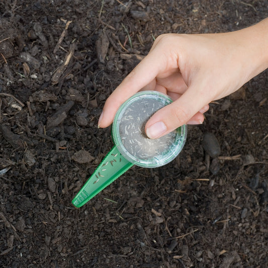 Handy Seed Sower