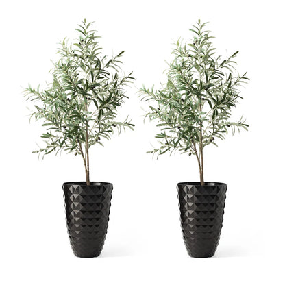 Dneisha Eco-Friendly 2-Piece Pot Planter Set