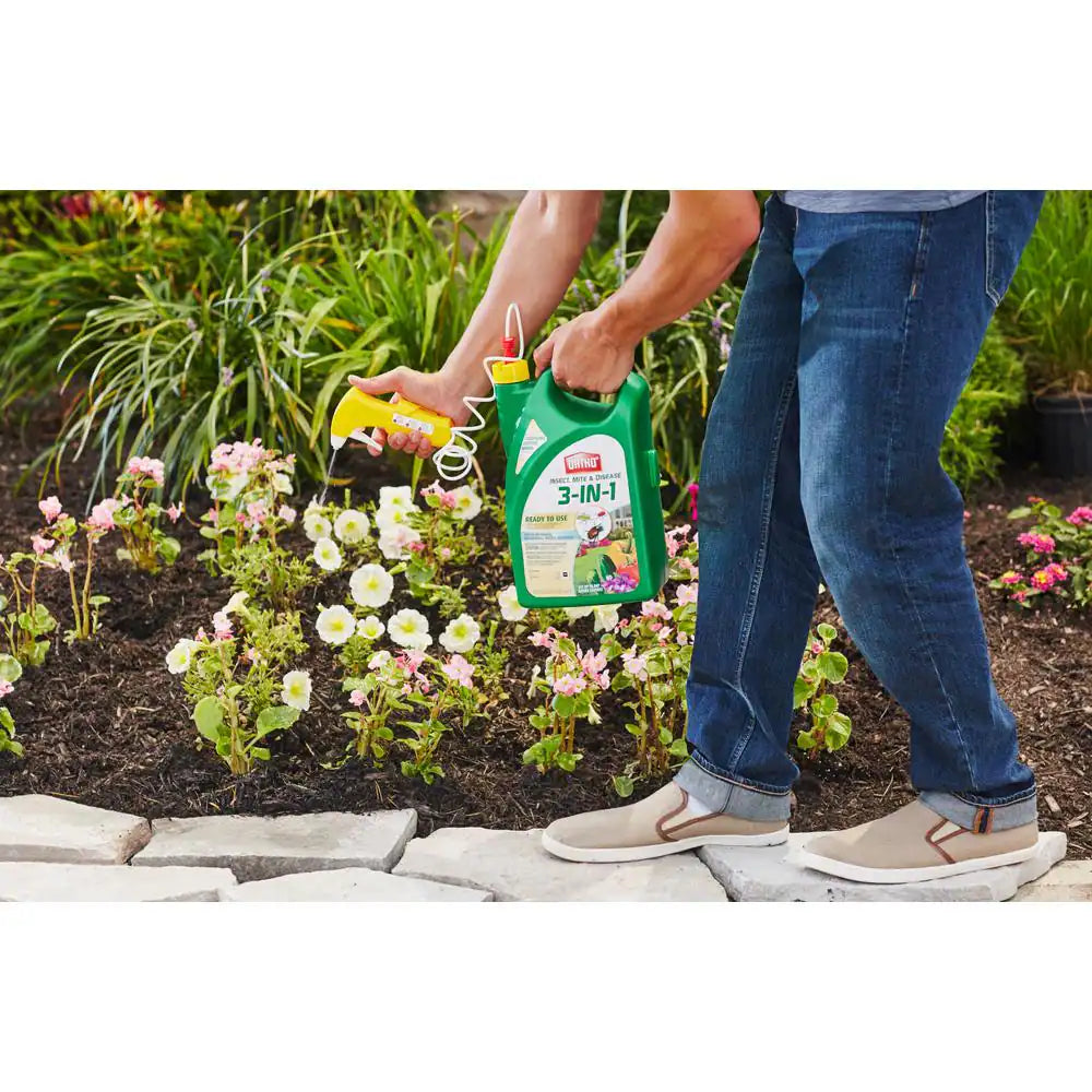 1 Gal. 3-In-1 Insect, Mite and Disease Control