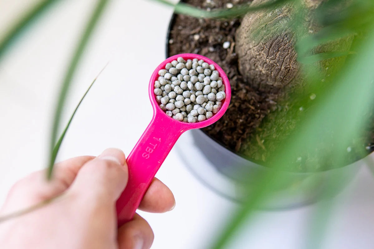 Root Boosting Slow Release Fertilizer