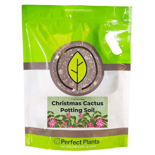 Christmas Cactus Potting Soil