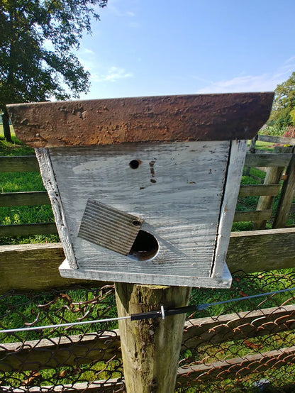 Bird in Hand Series Cumberland Chicken Coop 10 in X 10 in X 8 in Birdhouse
